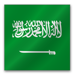 Saudi Arabia Updated Requirements for Technical Specification RI056